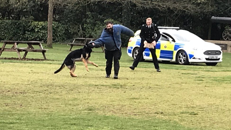 A police dog taking down a man