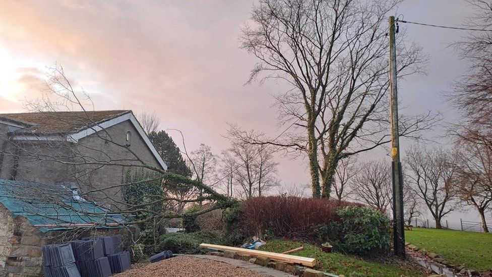 A tree which has crashed onto overhead power line damage outside a home