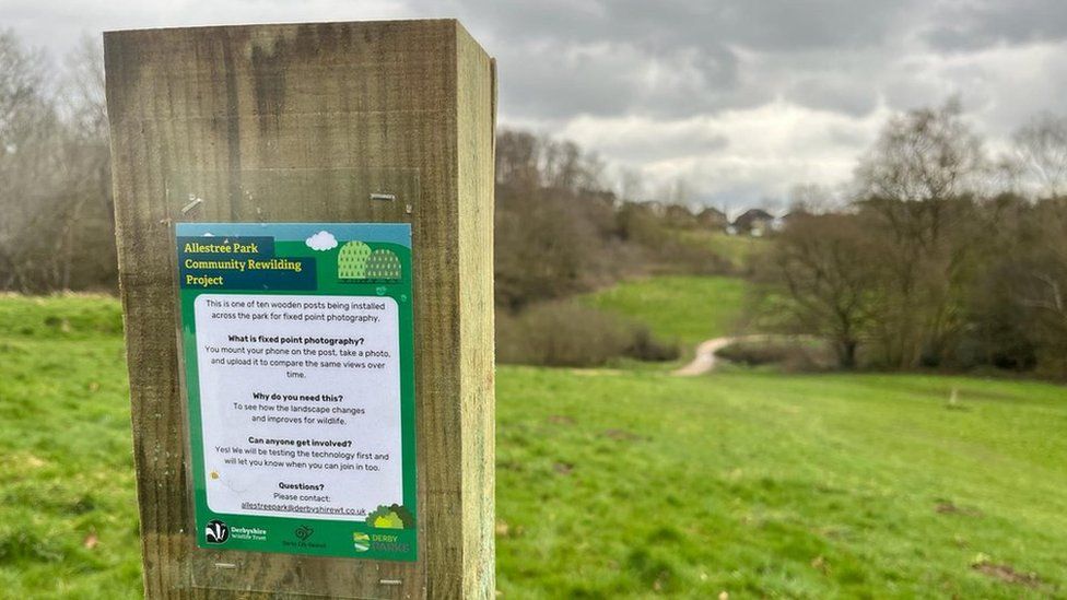 Photo post in Allestree Park