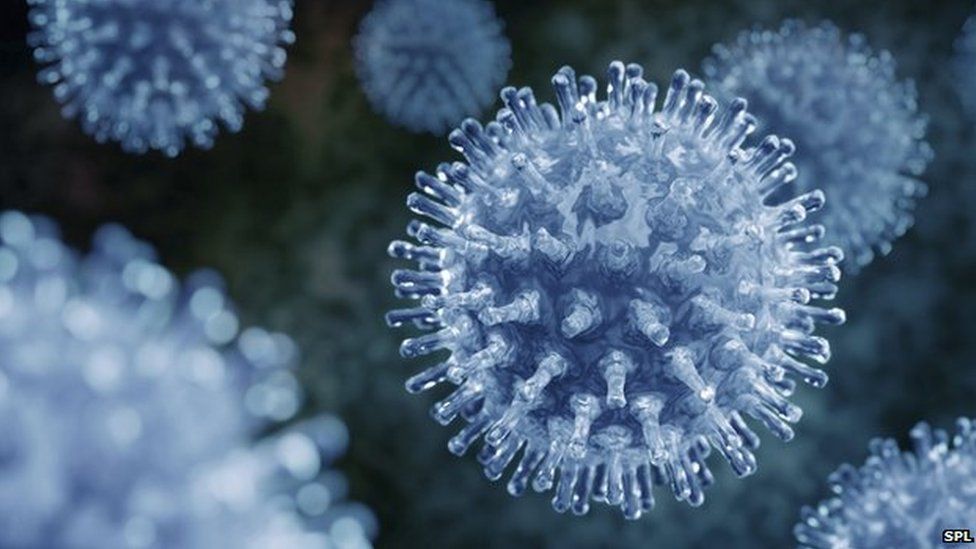 Illustration of the flu virus