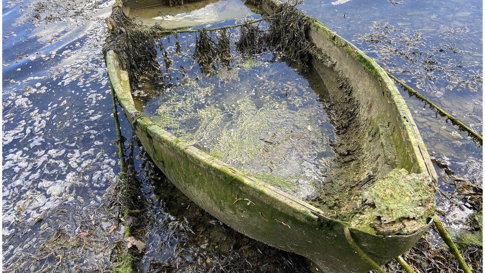 Rotten GRP boat covered in seaweed