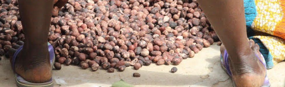 Sorting through shea nuts in Anateem, Ghana