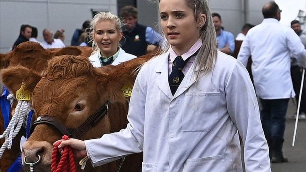 Cattle handlers at Balmoral Show