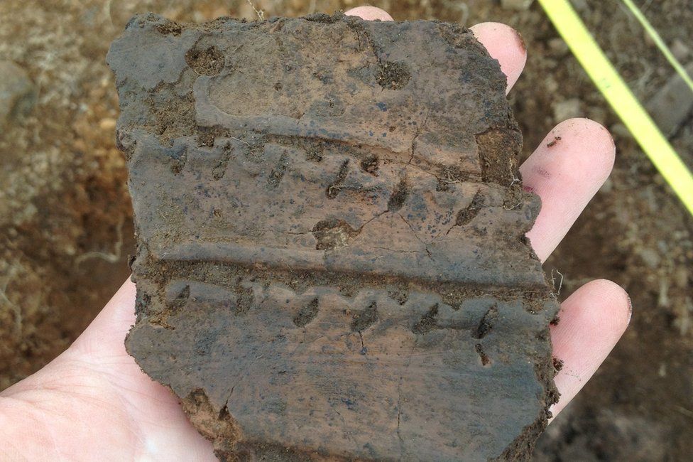 Decorated Neolithic pottery found at Torvean