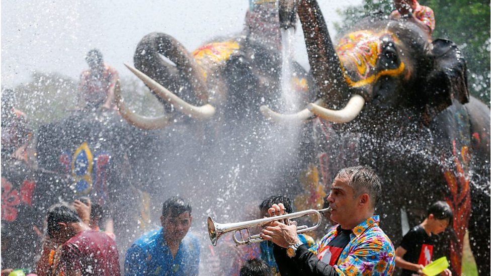Elephants spraying water