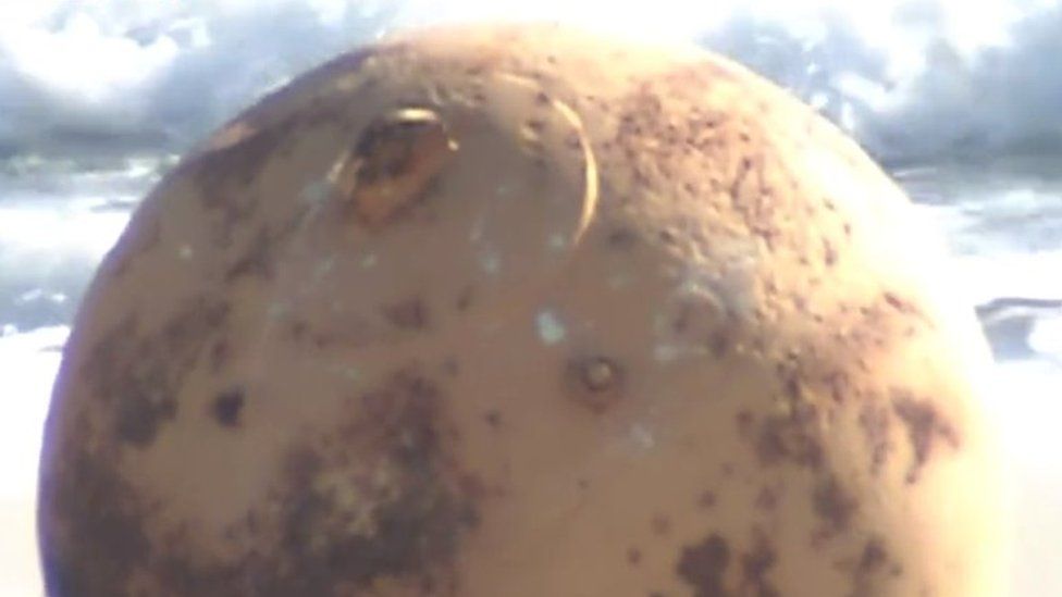 Metal ball found on Japanese beach leaves people baffled BBC Newsround