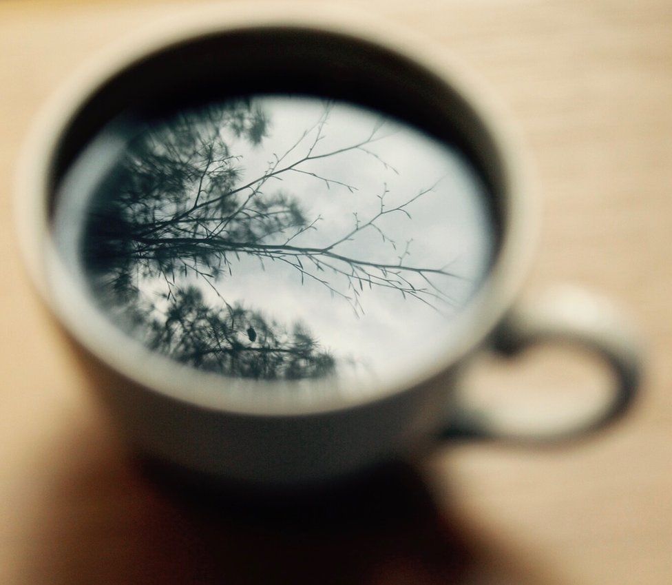 Trees reflected in a mug of coffee