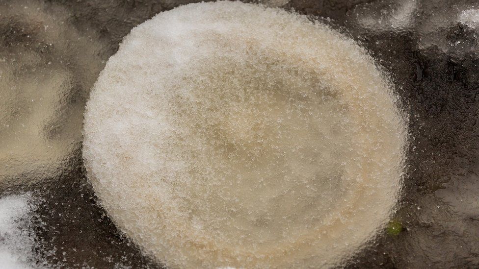 Rare ice pancakes form on River Swale in Richmond BBC News