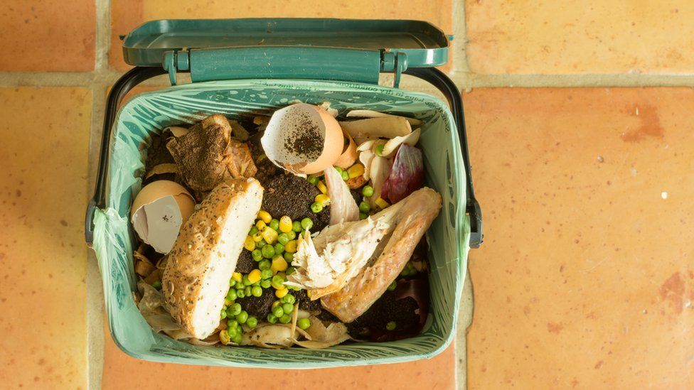 Food waste bin