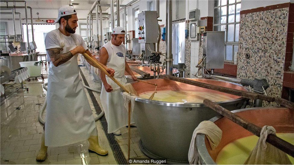 processo de fermentação