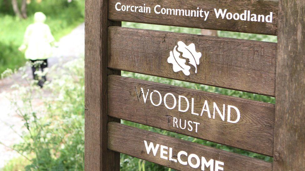 It is understood the teenager died after an incident near woodland in Portadown