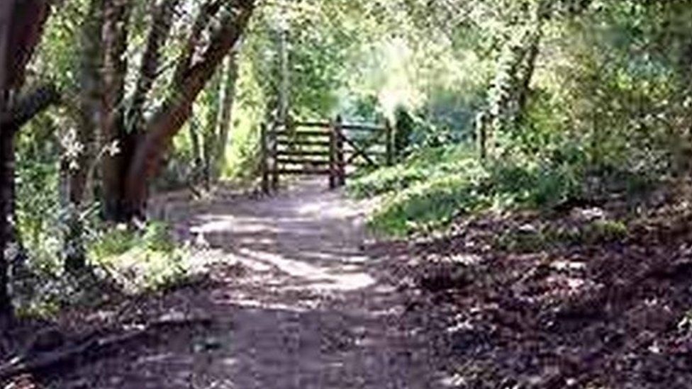 Footpath and kissing gate in Kent