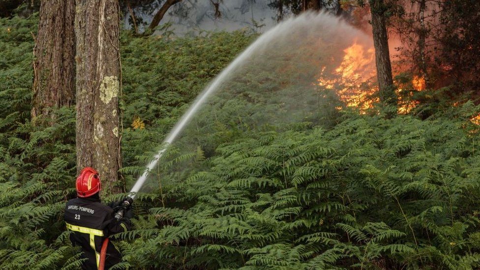 A firefighter works to extinguish a wildfire at the bottom of the Dune du Pilat near La Teste-de-Buch