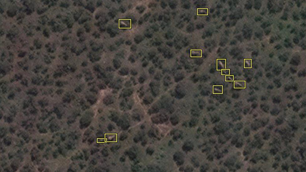 Elephants in satellite image