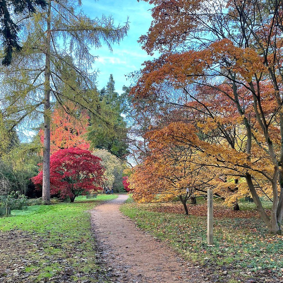 SUNDAY - Harcourt arboretum