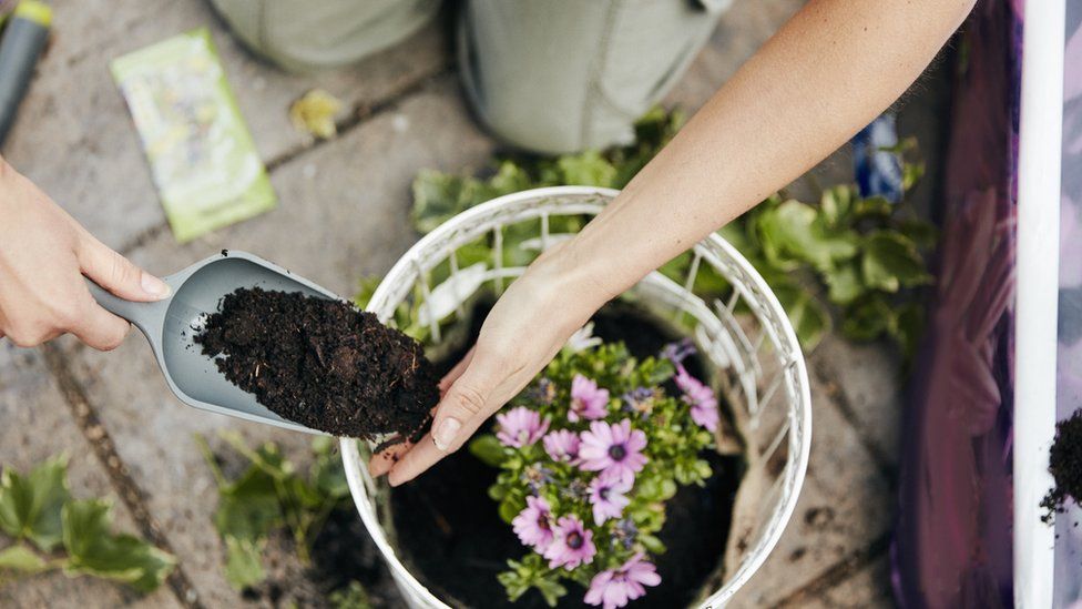 best mulch for your yard on where to buy compost near me during lockdown