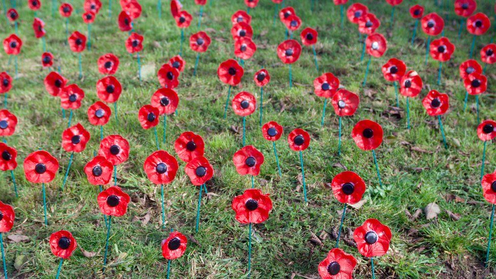 Beach resident selling large tissue paper poppies to raise funds in advance  of Remembrance Day – Beach Metro Community News