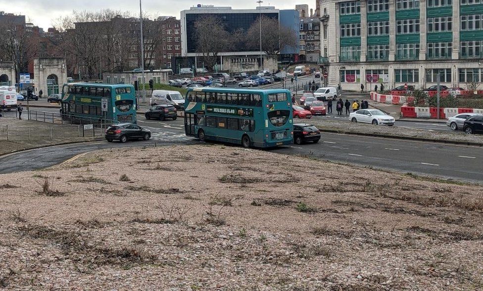 The site of the seed-spreading