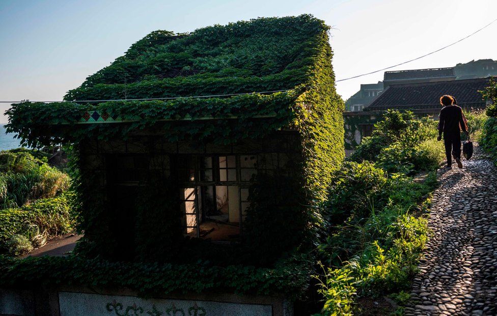 Abandoned village houses covered with overgrown vegetation in Houtouwan on Shengshan island