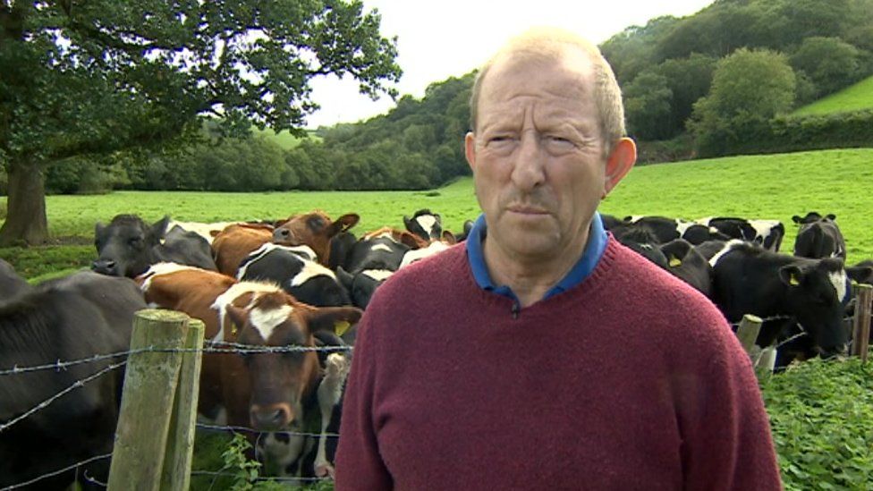 Badger cull 'must happen' to protect cattle say Welsh farmers - BBC News Badger cull 'must happen' to protect cattle say Welsh farmers - BBC News