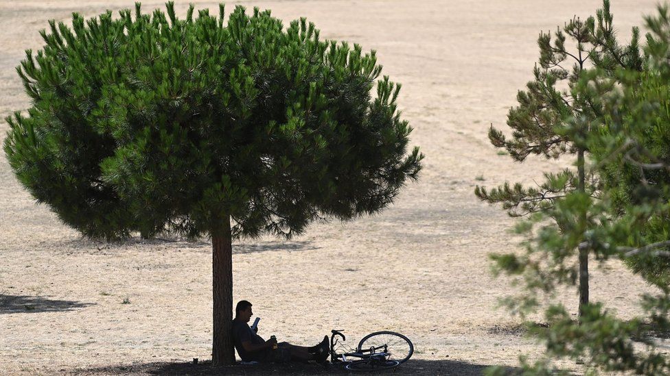 A man sits in the shade at a park in London