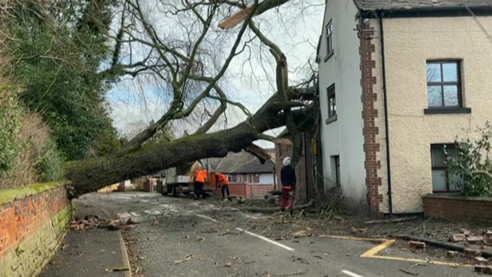 Tree falls into a house