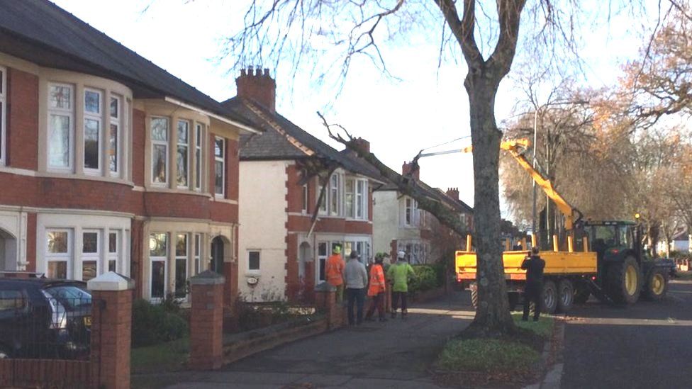 Workers remove tree from side of house