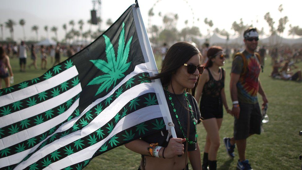 Woman at Coachella festival carries US flag re-designed with cannabis leaves instead of stars on the design
