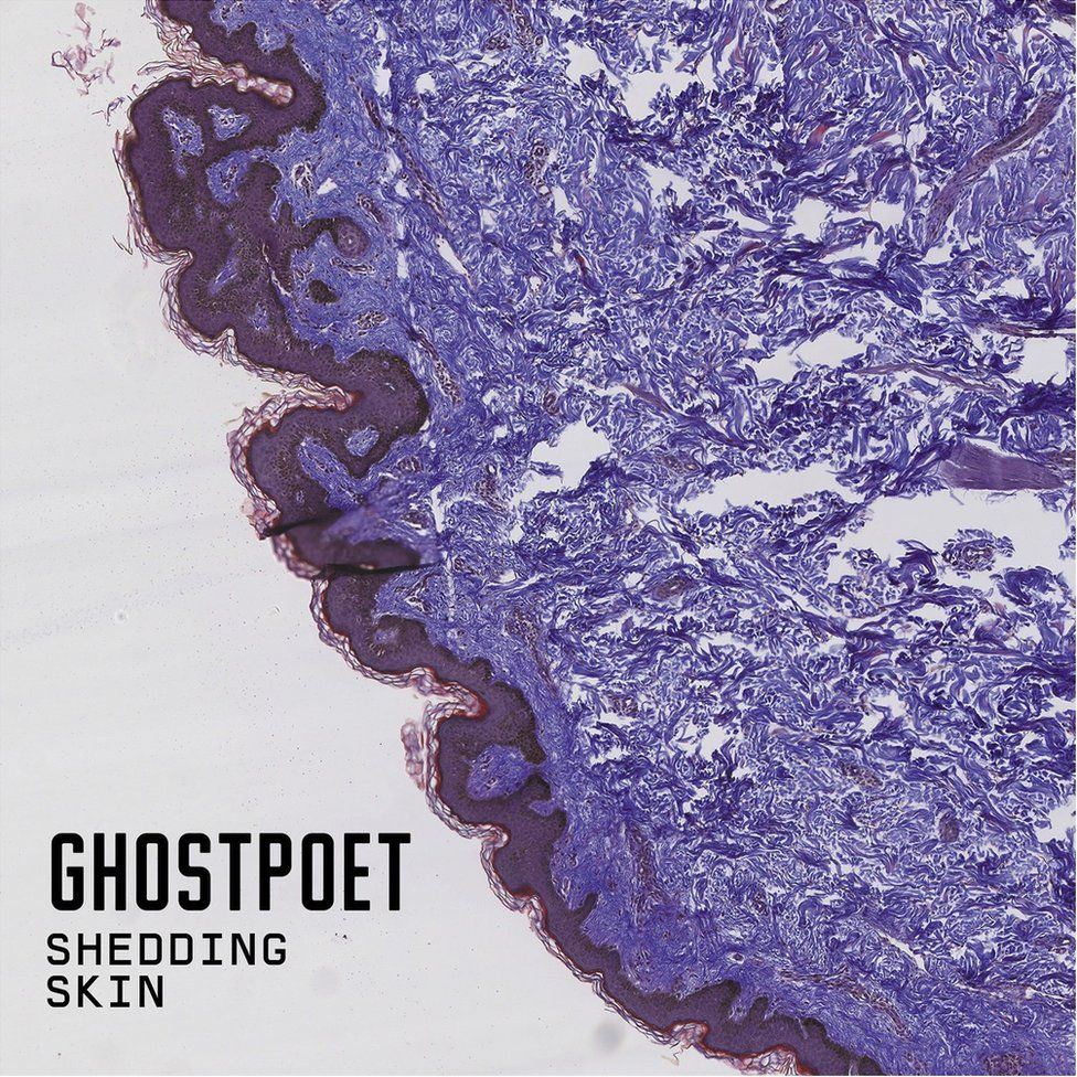 Ghost Poet: Shedding Skin