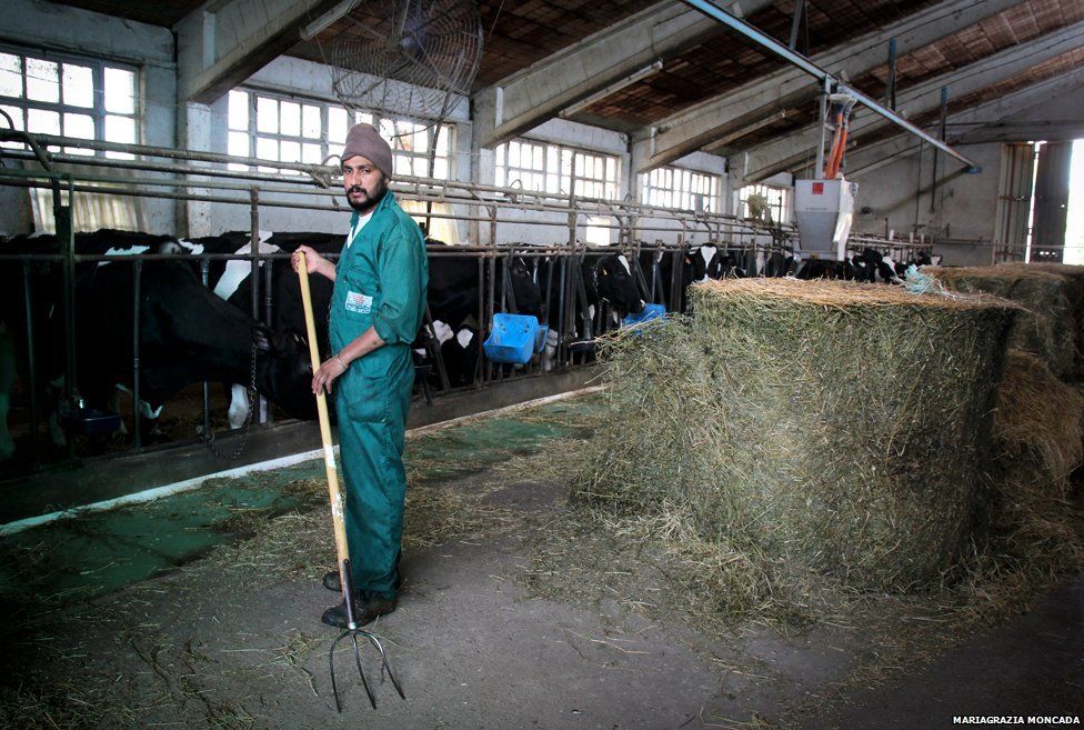 Sikh man in barn with pitchfork