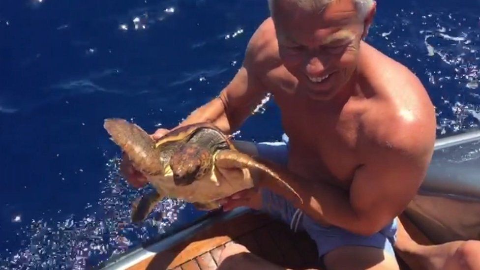 Ed found a sea turtle wrapped in plastic
