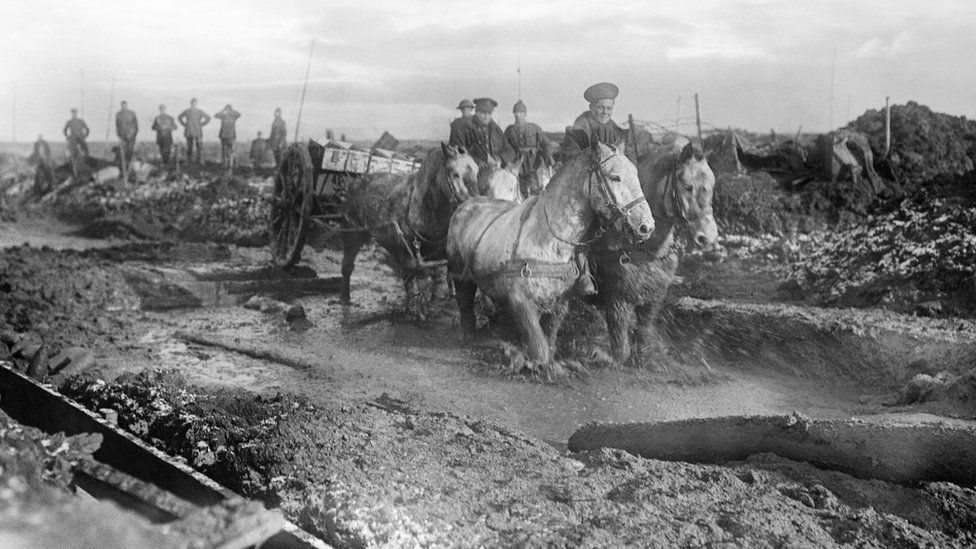 Horses dragging ammunition mud at the Somme in November 1916