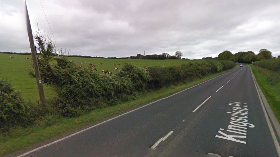 Newborn lambs killed in 'heartless' farm shooting in Basingstoke BBC News