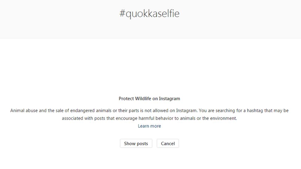 An Instagram notice warning people about quokka selfies and animal abuse says: "You are searching for a hashtag that may be associated with posts that encourage harmful behaviour to animals or the environment."