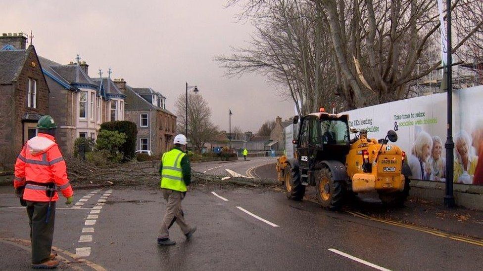 Tree damage in Inverness