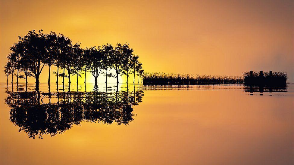 An illustration showing a line of trees reflected in a body of water, forming the shape of a guitar