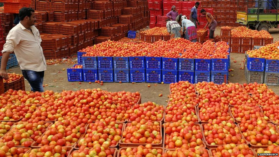 Tomato seller, India (Image: Lutz Depenbusch)