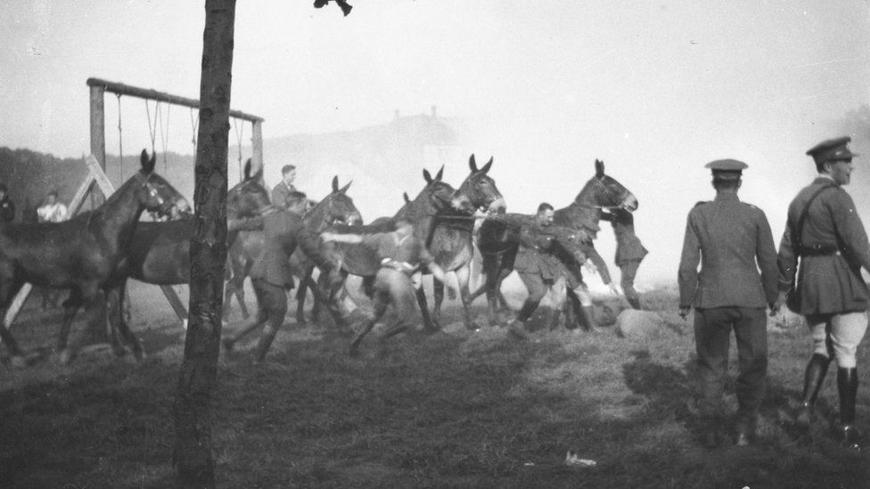 A mule race at Battery Sports Day in Römlinghoven in 1919