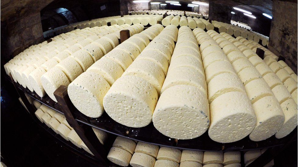 Wheels of Roquefort cheese