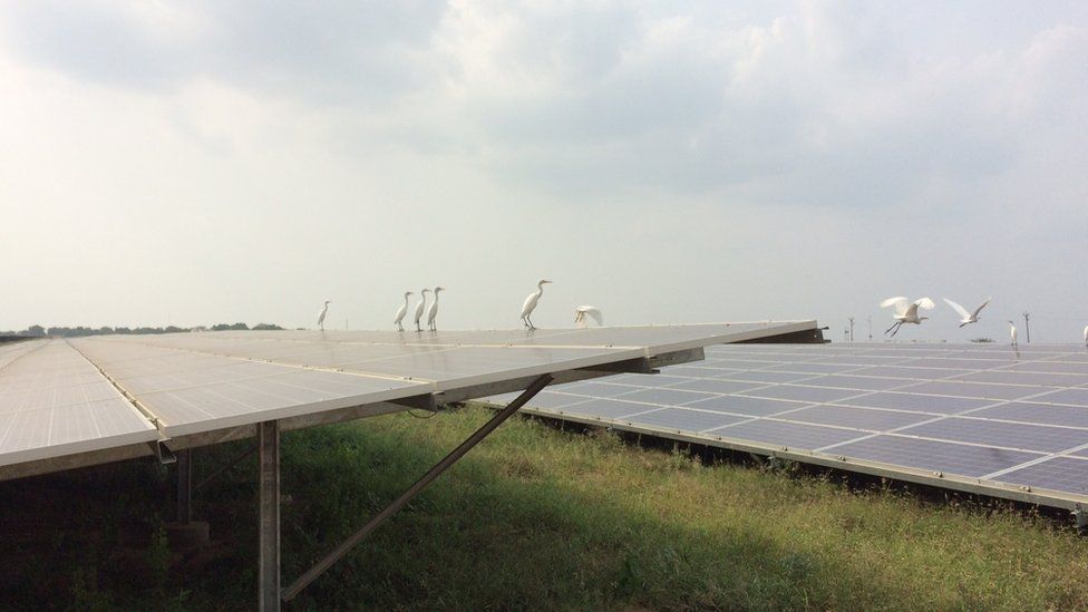 The Kamuthi solar farm