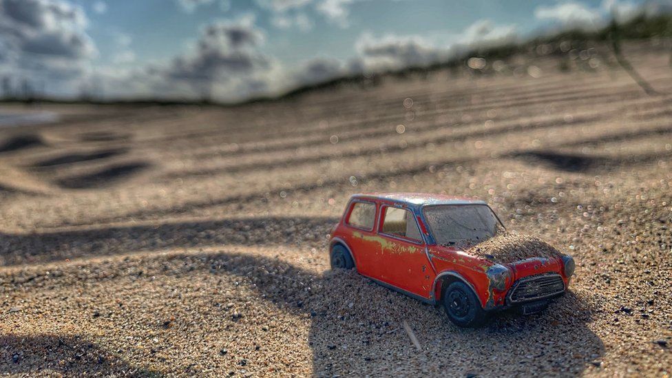 George the Mini enjoys the sand at Seaton Dunes and Common, Hartlepool