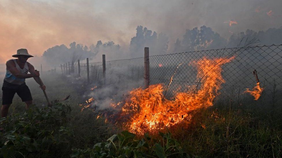 Житель пытается потушить пожар в городе Табарка на северо-западе побережья среди палящей жары 24 июля 2023 года.