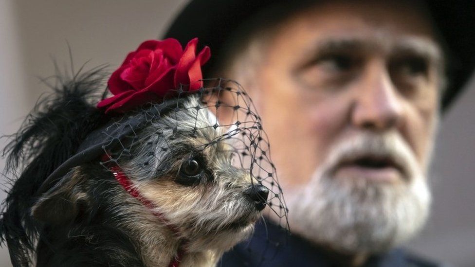 A dog dressed in a gothic-style hat