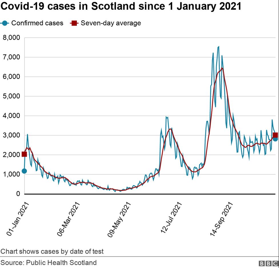 Cases 16 November