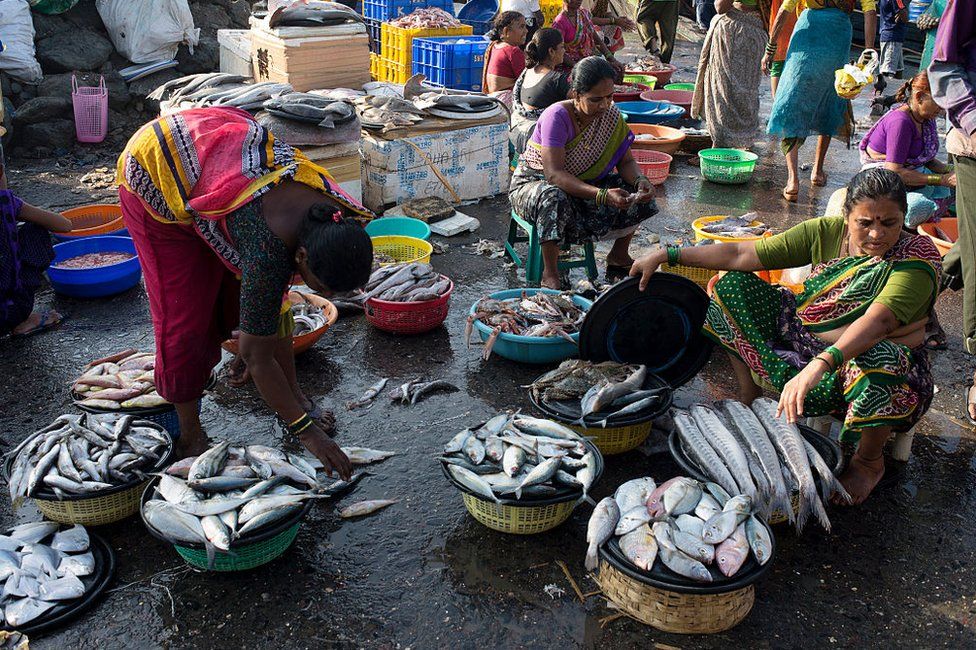 Women trade in a wide variety of fish at Sassoon Docks in Colba, South Mumbai. The Sassoon Docks is one of the oldest docks in Mumbai.