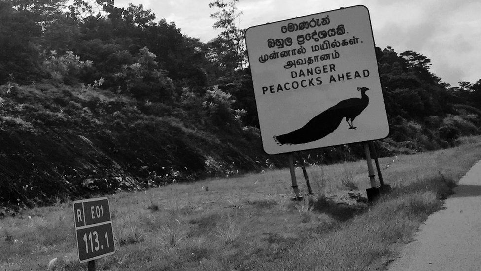 Warning sign by the side of the road