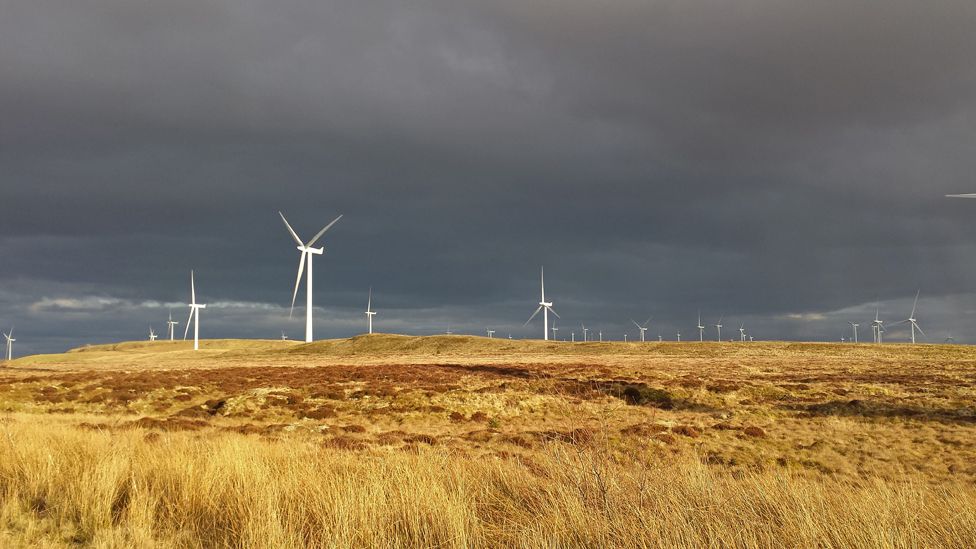 Eaglesham moor