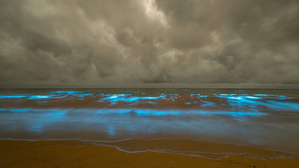 Bioluminescence spotted off Tasmania's Preservation Bay