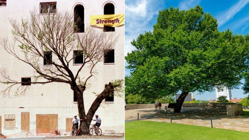 Two police officers under survivor tree in 1996 and how it appears today