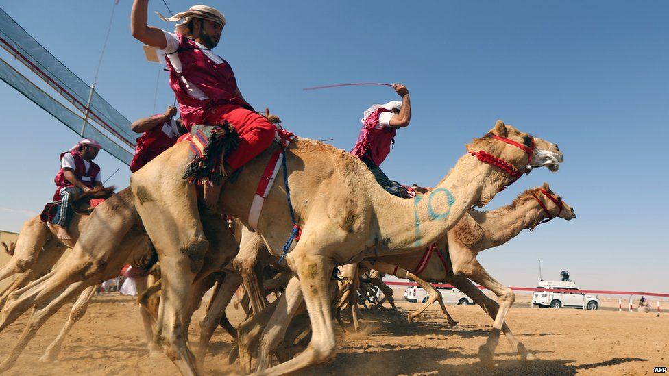 Camel-riders compete in a race on the outskirts of Abu Dhabi, in the UAE, in February 2014